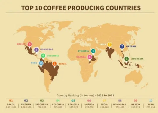 Single Origin Coffee, Freshly Roasted Specialty Coffee from Around the World