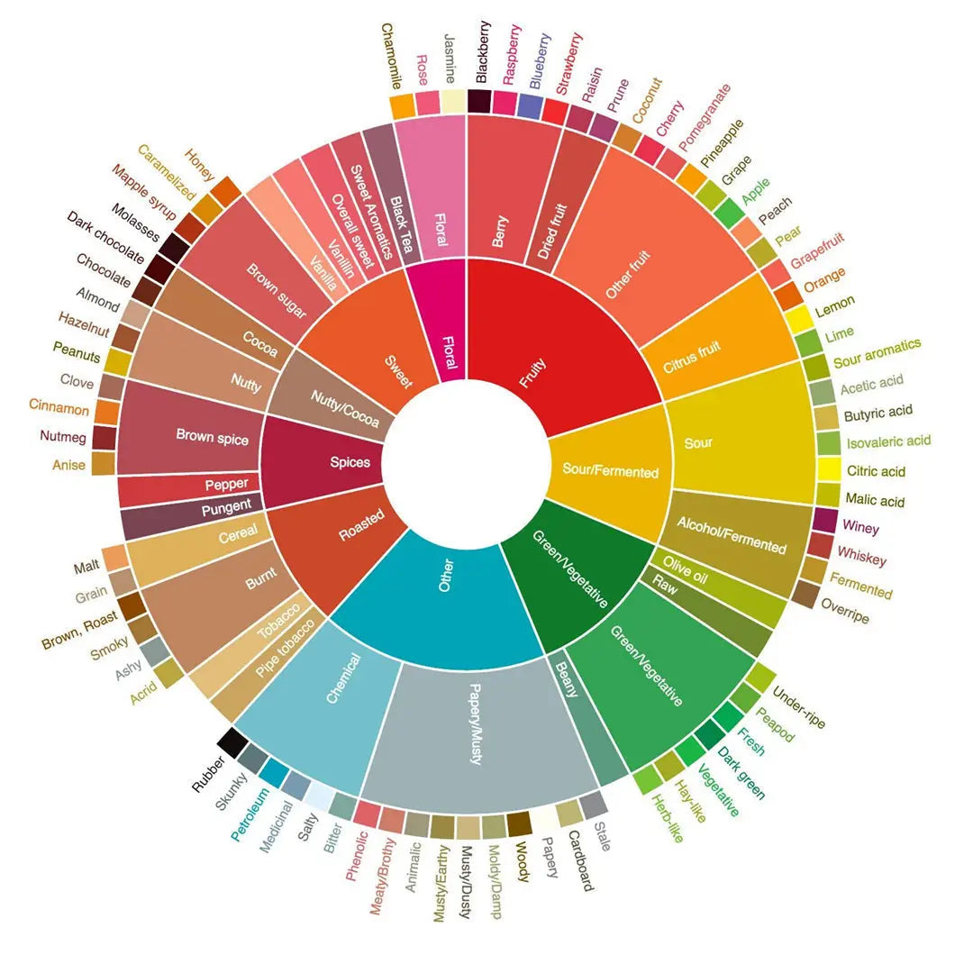 How to Taste Coffee Notes Like a Pro