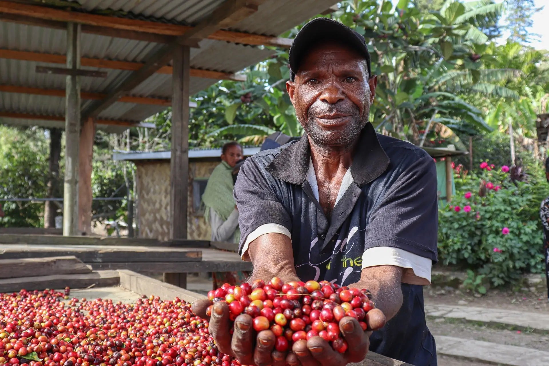 Man holding a bunch of red coffee cherries in an outdoor setting with greenery.